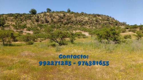 Gran Lanzamiento nuevo proyecto El Cuzco 2 Litueche