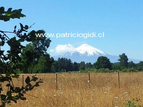 Parcelas de 5.000 mts.2 en Lomas de Sta.Lucia