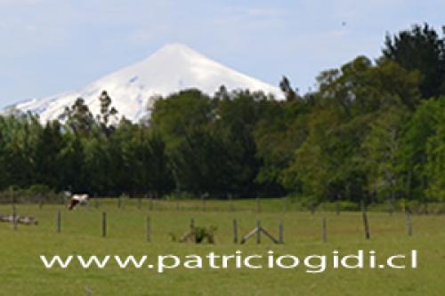 Hermosas Parcelas en Sector Puquereo