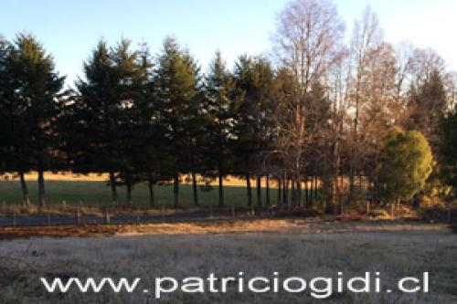 Lomas de Los Guindos, Parcelas de 5.000 Mt.2