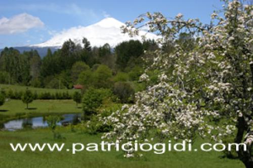 Parcela 5,8 Hect.con Derechos de Aguas y Casa