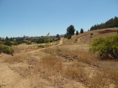 Las parcelas Que esperabas a sólo 30km Concepción