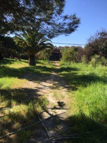 Amplio terreno con arboles y un pozo , excelente ubicación.