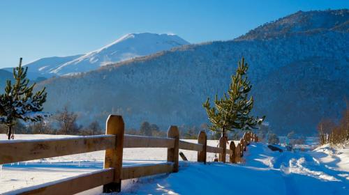 VENTA DE PARCELA EN MALALCAHUELLO