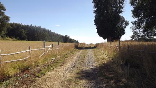 Oportunidad a 1500 mts de Curacautín