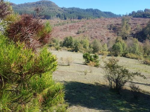 Venta de predio completo en Linares