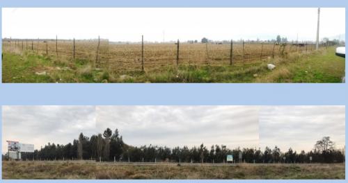 Gran terreno en machalí 