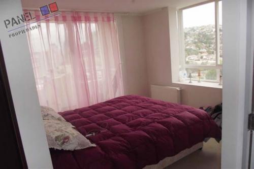 DEPARTAMENTO CENTRAL, SECTOR RODOVIARIO,  VIÑA DEL MAR // VD364