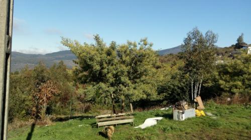 SITIO  2700  mts2 LAS ACEQUIAS, angol