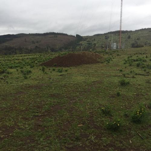 LOTEO, ALTOS DE CANCURA, ANGOL