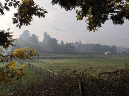 SITIO CENTRAL, ANGOL