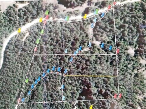 LOTEO HUSARMAHUIDA, ANGOL