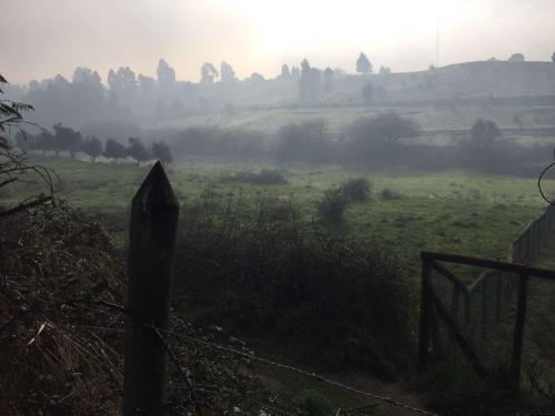 4,3 HECTAREAS CENTRAL, ANGOL