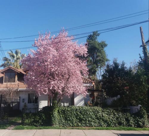 Hermosa casa habitación con mansarda. Consultas ,concertar visitas con Mario cel +56 9 9147 7995