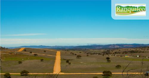Venta de Parcelas de Agrado en Litueche