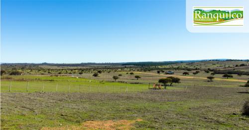 Venta de Terrenos en Litueche