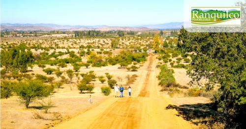Ventas de Parcelas Aires del Chequen Exito de VENTAS