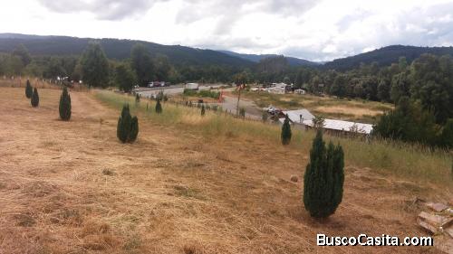 Vendo terreno   a orillas   de  carretera  norte sur entre  Los  Lagos y paillaco  sector TREBOL  ki