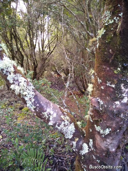 SE VENDEN PARCELAS DE AGRADO ALTO BONITO