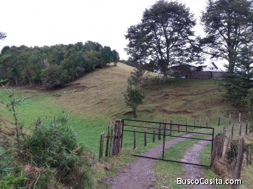 20 hectáreas con casa,apto para agricultura,turismo o parcelamiento.