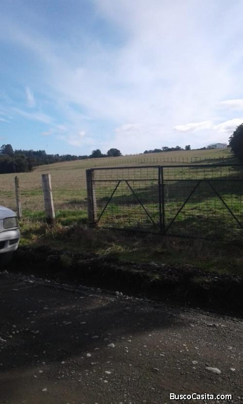 1/2 hectárea lado camino,excelente terreno,sector San Javier camino a Rilán.
