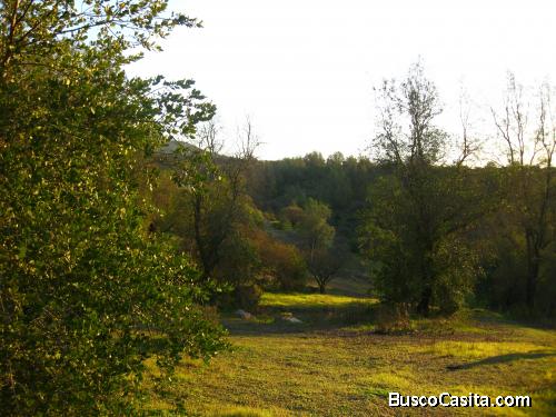 Linda Parcela Agrado 5.000 mts 2 Camino Los Guindos en Melipilla