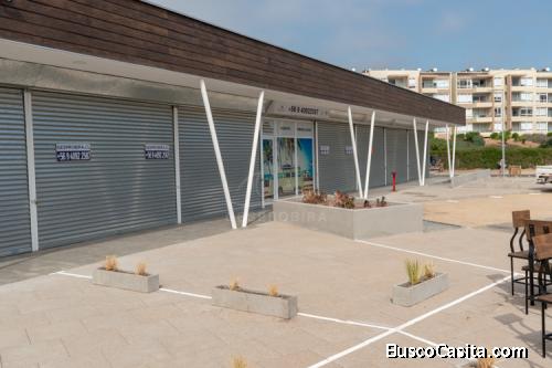 P59 ARRIENDO LOCAL COMERCIAL PAPUDO 1902PAPARR59