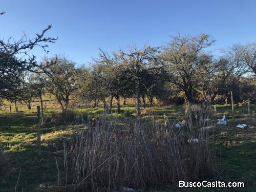 Gran oportunidad 15.65 hectáreas a 20 minutos aproximado de Puerto Montt   