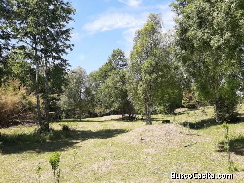 Parcela en Trailanqui, borde Rio Curaco.