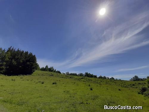 Se vende por apuro Hermosa parcela de 7.90 hectareas