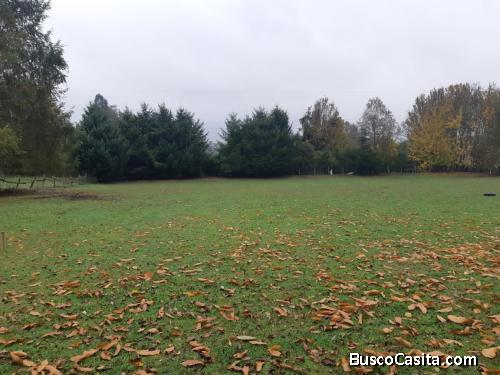 Parcelas: Faja 18.000- Ruta que une Cunco-Temuco