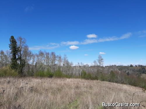 REMATE!! PARCELAS FAJA 24000 HUICHAHUE