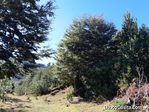Parcela de 112 hectareas, Sector Curacalco