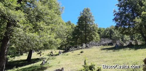 Parcela en Reigolil, Curarrehue