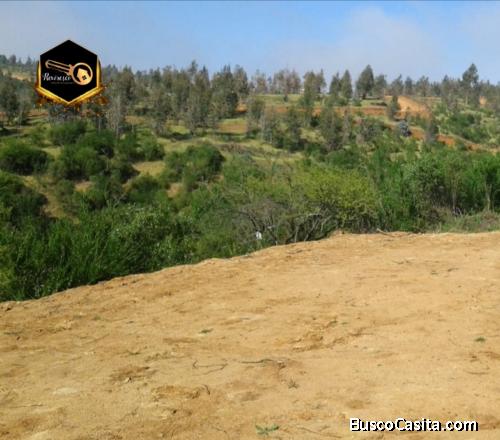 SE VENDE PARCELA SECTOR CAJÓN DE LEBU