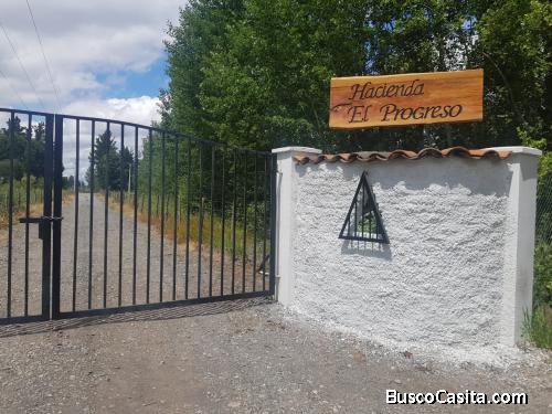 Venta de Parcelas Sector El Progreso, Cabrero