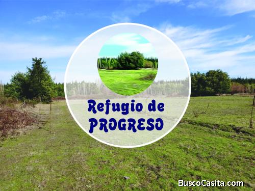 Venta de Parcelas Camino a Campanario, Cabrero