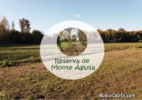 Venta de Parcelas Sector La Colonia, Monte Águila