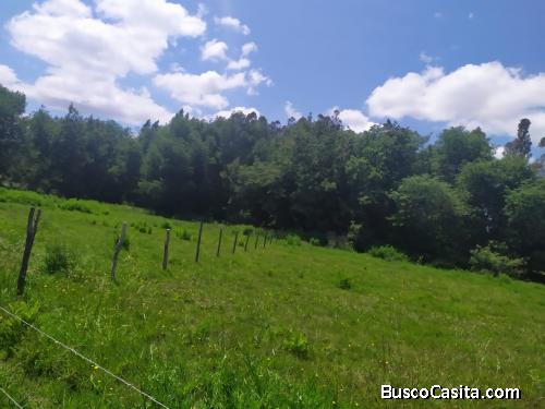 Venta de Terreno en  Reserva De Monte Águila