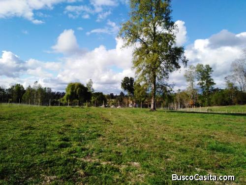 Hermosas parcelas a 24 kilómetros de Villarrica