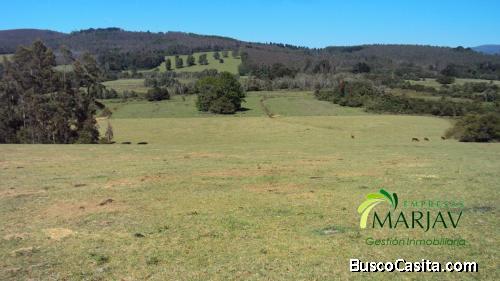  Vende Terreno agrícola-ganadero