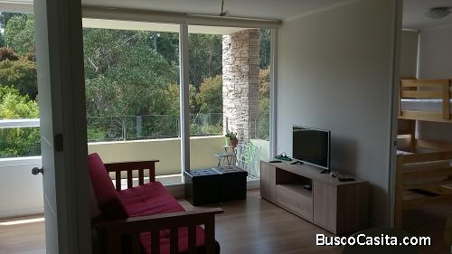 ARRIENDO DESDE MARZO A DICIEMBRE, Cómodo Departamento, con linda Vista al Bosque