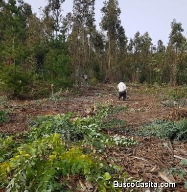Parcela en Pailimo cerca de Pichilemu