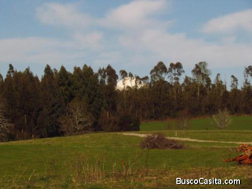 Hermosas parcelas en Sector Quinta Faja. Villarrica