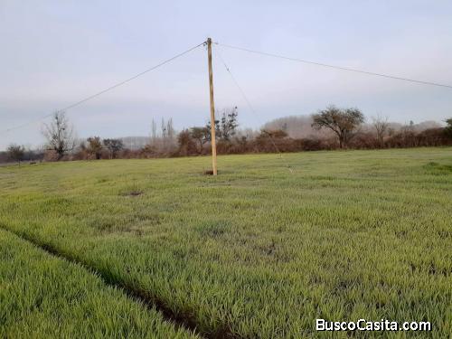 Parcela a pasos de 5sur 