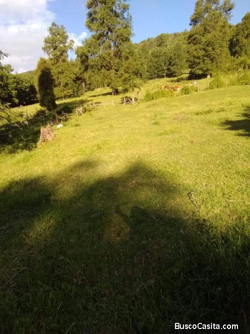 Terreno en coilaco