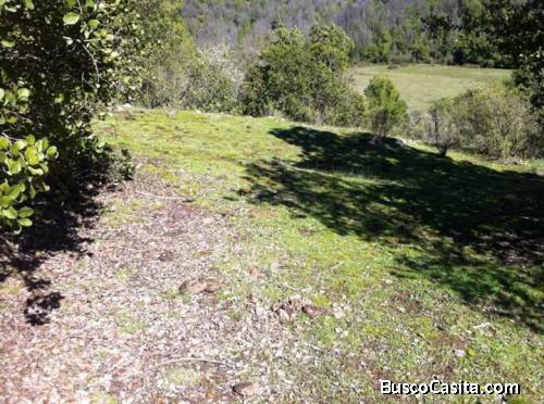 Vendó Nueve hectáreas de montañas en linares 