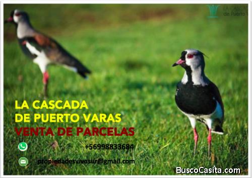 VENTA DE PARCELAS LOTEO LA CASCADA DE PUERTO VARAS