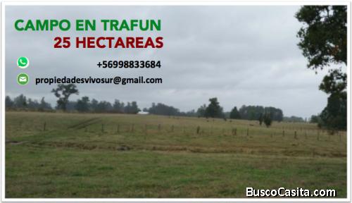 Venta campo sector Trafún