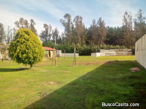 ARRIENDO TERRENO PARA NEGOCIO